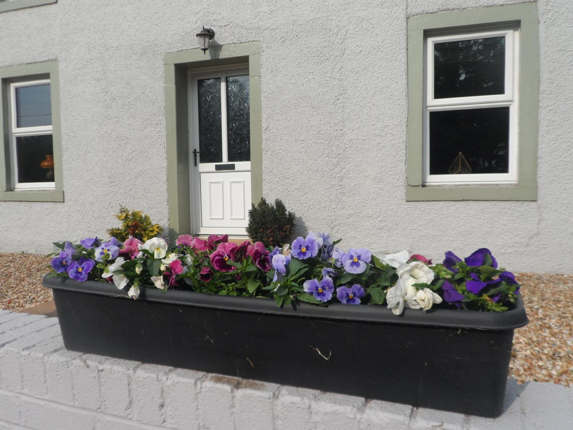 Midtown Farm Bed & Breakfast Easton  Экстерьер фото